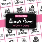 Free flower name SVG, 30 botanical flower name cut files for Cricut and Silhouette