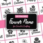 Free flower name SVG, 30 botanical flower name cut files for Cricut and Silhouette