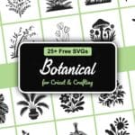Free botanical SVG bundle for DIY crafting — 27 nature inspired cut files for Cricut and Silhouette